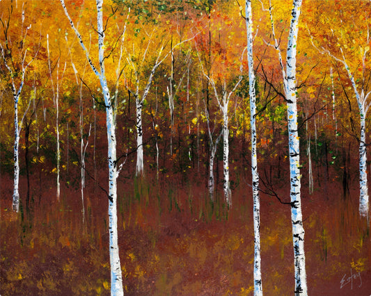 Until Spring Comes Around